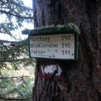 Bergtour-Grosser-Hafner-16: Weiterhin dem Weg 541 folgen