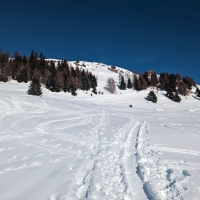 Venet Skitour 03: Je näher der Weg Richtung Gogles Alm führt, desto offener wird das Gelände.
