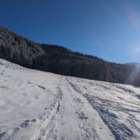 Skitour Hippoldspitze 05: Das erste Drittel des Aufstieges führt durch den Wald.