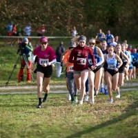 Österreichische Staatsmeisterschaften Crosslauf 2024 in Tulln: Frauen-Start