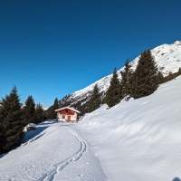 Skitour Fundsfeiler 02: Oberhalb der Hütte an einer Alm vorbei und der Forststraße weiter durch den Wald folgen.