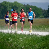 Baiersdorfer Krenlauf