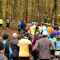 Zeiler Waldmarathon (c) Veranstalter
