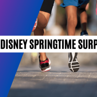 Results Run Disney Springtime Surprise Weekend