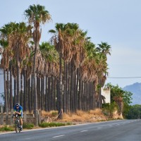 Mallorca 140.6 Triathlon &amp; Half, Foto: Veranstalter