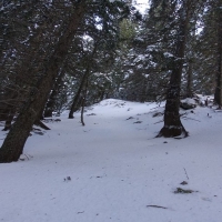 Nun geht es zwar windgeschützt durch den Wald, der teilweise 1 Meter tiefe Schnee macht den Aufstieg allerdings zu einem ordentlichen Krafttraining