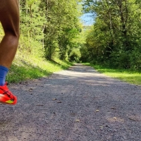 Laufschuhe Asics Metaspeed Sky