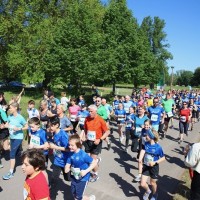 Lauftermine in Magdeburg