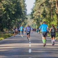 Halbmarathons und Marathons Rheinland-Pfalz xxx - Termine