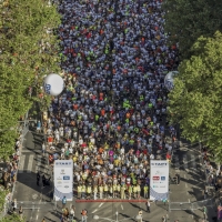Beogradski Maraton, Foto: Zoran Mesarovic