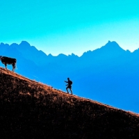 Ergebnisse UTMB 2022