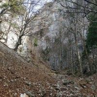 Krummbachstein 05: Die Schlucht dem gut markierten Weg folgen
