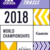 adidas Infinte Trails Logo