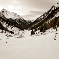 Peistakogel Skitour 06: Blick zurück auf den Abschnitt über die Rodelbahn