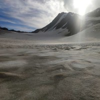 Hintere Schwärze - Normalweg 18: Schöne Gletscherwanderungen. Einige Spalten sind bedeckt