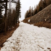 Waxriegel 12: Durch den Schnee links neben der Zahnradbahn bergauf