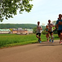 Oberelbe Marathon Strecke