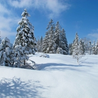 Oberjoch im Winter, Foto Pixabay