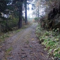 Bergtour-Grosser-Hafner-15: Es geht noch ein Stück durch den Wald