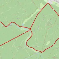 Tharandter-Wald-Lauf Walking Strecke