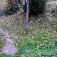 Bergtour-Grosser-Hafner-10: Als Abstiegsweg empfehle ich durchgend die Forststrasse. Ideal zum Laufen
