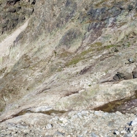 Acherkogel Abstieg 03: Dnaach wird es knifflig. Ein kaum sichtbarer Pfad führt nun bergab zu einem Mini-See.