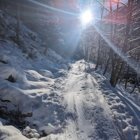 Skitour Hippoldspitze 04: Es ist eine Modetour. Demnach ist diese auch den gesamten Winter durchgehend gut gespurt.