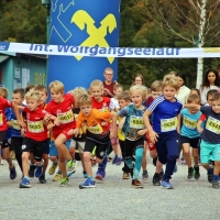 Wolfgangseelauf 2023 Junior Marathon, Foto: © Hörmandinger