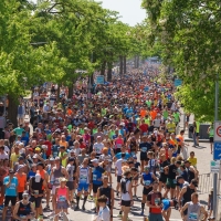 Ergebnisse Venloop 2024