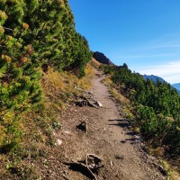 Gabelspitze 02: Der Weg bis zum Steinjöchle ist einfach.