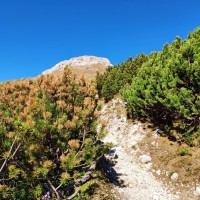 Gabelspitze 03: Aufstieg zum Steinjöchle