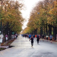 Run Vienna 1:59, Foto: Christoph Lepka