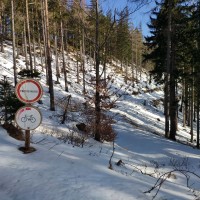 Hochstaff-Reisalpe Rundtour 57: Hier nicht rechts weiter sondern links (kurz bergauf)