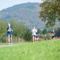 ILLENAU-Lauf 2012, der Lauf durch Feld, Wald, Obstwiesen und historisches Areal