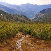 Rundtour Seckauer Alpen 47: Der verwilderte Abstiegsweg