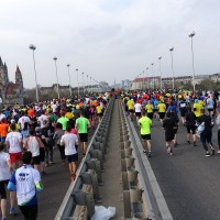 Halbmarathons und Marathons in Wien - Termine