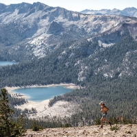 Mountain Runs in USA - dates