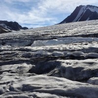 Hintere Schwärze - Normalweg 14: Gletscherwanderung