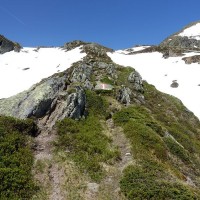 Großer Knallstein 18: Aufstieg am Fels. Abstieg danach gemütlich am Schneefeld runterrutschen
