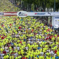 Wings for Life Run Wien 2017 (C) Philip Platzer for Wings for Life World Run6