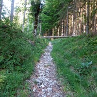 Großer Buchstein - Westgrat (6) - erstes kleines Hindernis