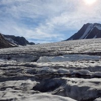 Hintere Schwärze - Normalweg 12: Gletscherspalten gut zu sehen