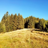 Sonntagkogel 04: Teilweise geht es nun durch den Wald