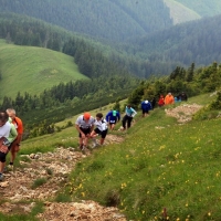 Grenzstaffellauf und Hohe Veitsch Trailrun (C) Veranstalter