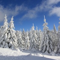 Die höchsten Berge in Rheinland-Pfalz
