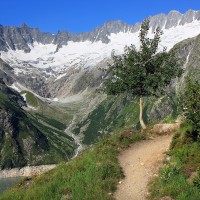 Die höchsten Berge in den Urner Alpen