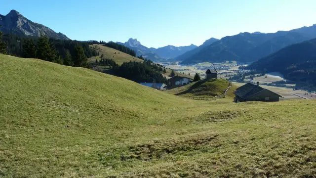 Tannheimer Bergbahnen: Schattwald - Zöblen