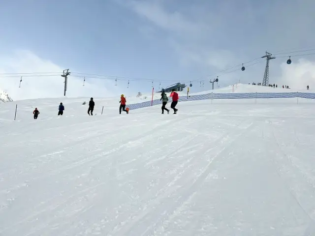 Swiss Snow Walk &amp; Run Arosa