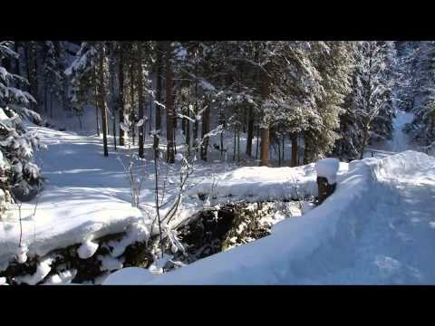 Wald am Schoberpaß Winterwunderland