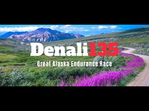 Denali 135 by Spirit Trips